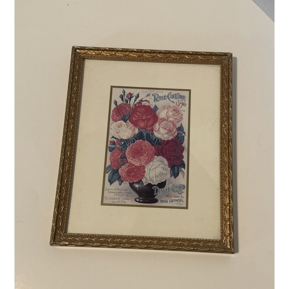 Antique Framed NEW GUIDE TO ROSE CULTURE 1896 Cover Lithograph